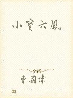 小宝六凤