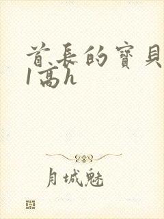 首长的宝贝1v1高h