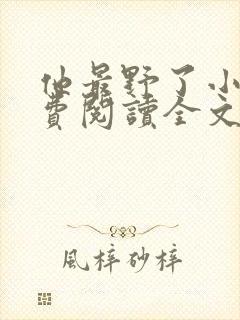 他最野了小说免费阅读全文