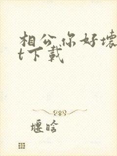 相公你好坏txt下载