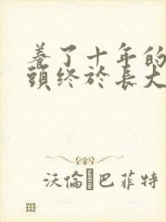 养了十年的小丫头终于长大了