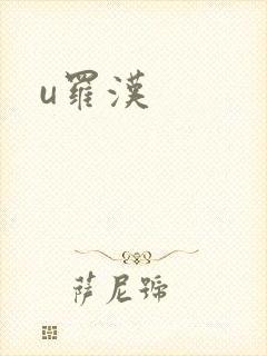 u罗汉封面