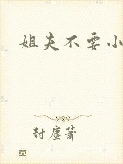 姐夫不要小说封面