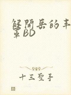 解开岳的丰满奶罩BD封面