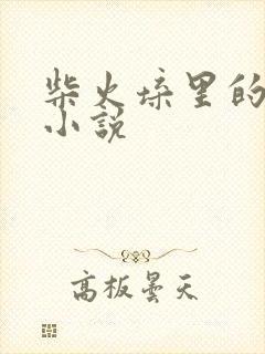 柴火垛里的疯狂小说