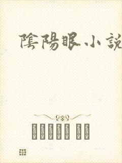 阴阳眼小说