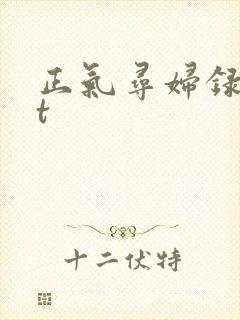 正气寻妇录txt封面