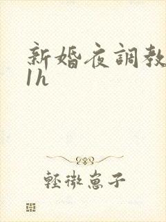 新婚夜调教1v1h封面