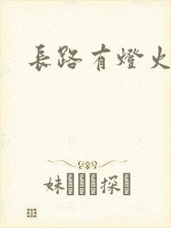 长路有灯火封面