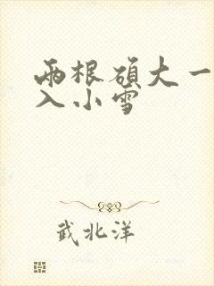 两根硕大一起挤入小雪