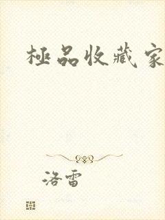 极品收藏家