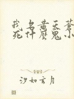 我名黄天苍天已死什么鬼小说笔趣阁无删减