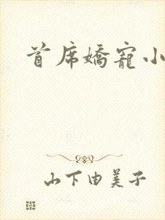 首席娇宠小情人