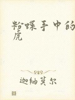 粉蝶手中的纸老虎