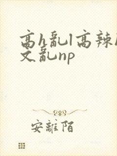 高h乱l高辣h文乱np