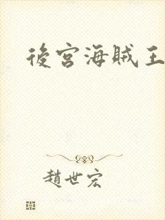 后宫海贼王