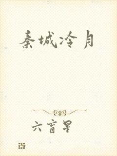 秦城冷月封面