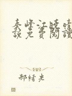 秦峰江晓晴的小说免费阅读