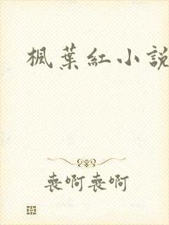 枫叶红小说封面