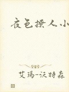 夜色撩人小说