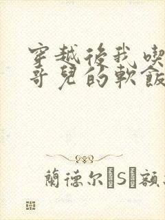 穿越后我吃到了哥儿的软饭炉山灰封面