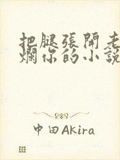 把腿张开老子臊烂你的小说封面