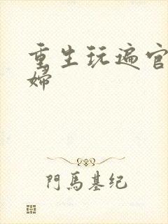 重生玩遍官场贵妇