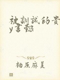 被训诫的贵妃by书懿