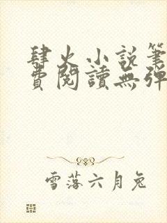 肆火小说笔趣免费阅读无弹窗