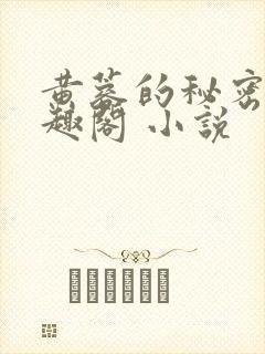 黄蓉的秘密 笔趣阁 小说封面