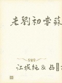 老刘初尝苏荷媳封面