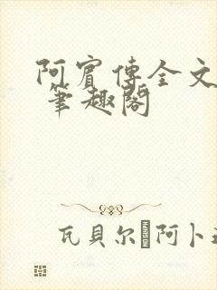 阿宾传全文阅读 笔趣阁