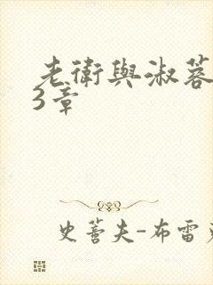 老卫与淑蓉第13章封面