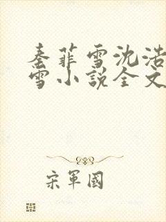 秦菲雪沈浩秦菲雪小说全文免费阅读求书