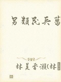 另类民兵葛二蛋