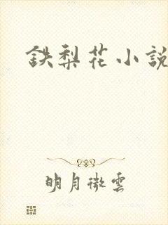 铁梨花小说封面
