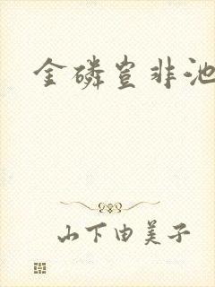金磷岂非池中物封面