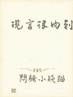 现言很肉到处做