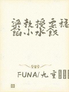 梁教授要稳住肉馅小水饺