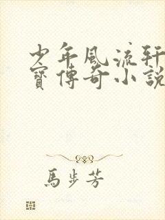 少年风流轩辕大宝传奇小说封面