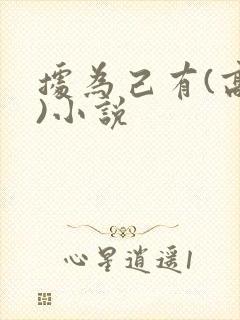 据为己有(高干)小说