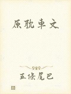 原耽车文