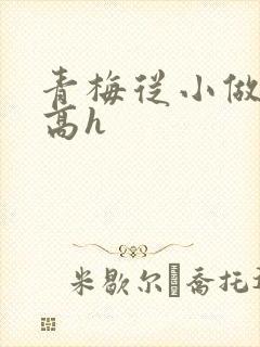 青梅从小做到大高h
