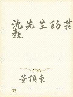 沈先生的花式管教封面