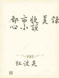都市收美录宁素心小说