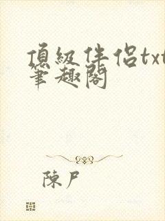 顶级伴侣txt笔趣阁