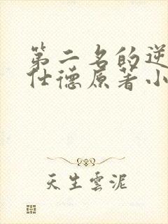 第二名的逆袭高仕德原著小说