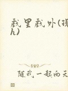 戏里戏外(现场h)