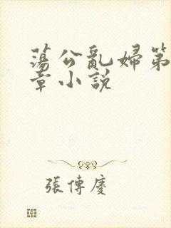 荡公乱妇第51章小说封面