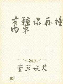 有种你再撞一下肉车